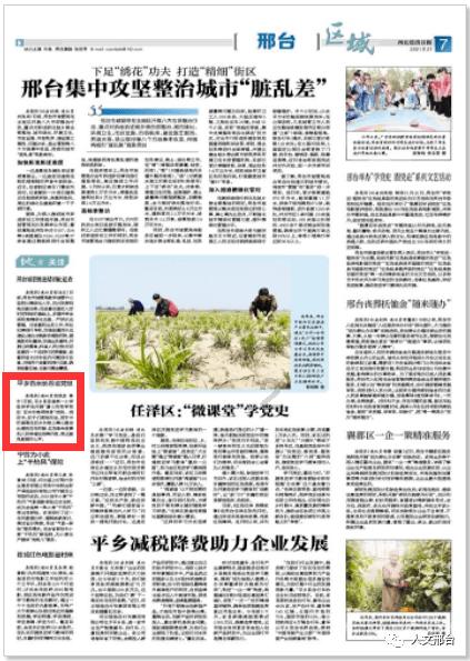 养眼又实用，“城市家具”扮靓街角